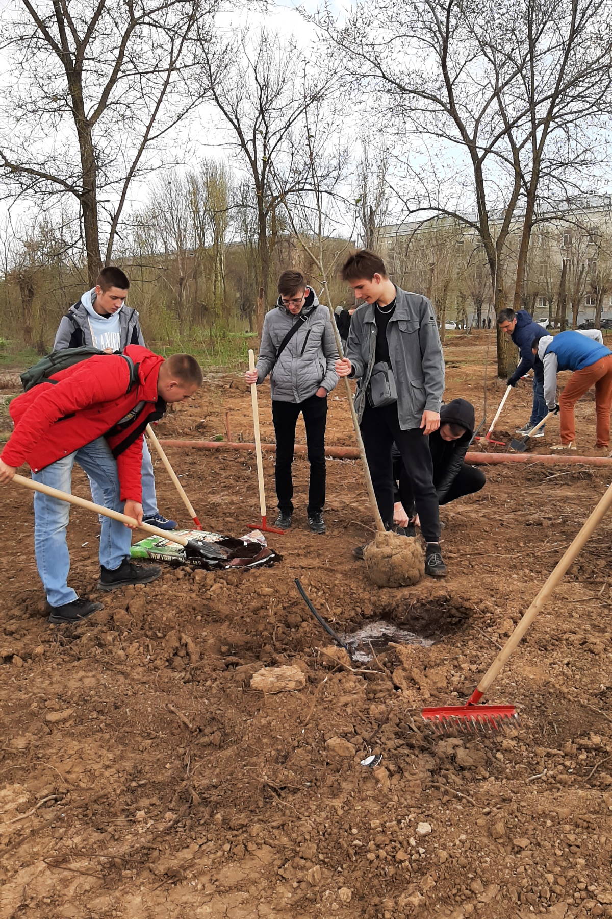 Студенты ВПТ высадили более сотни деревьев в парке Комсомольский